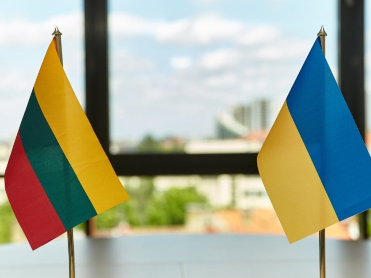 Dėl LR piliečių, asmenų, turinčių teisę atkurti LR pilietybę, lietuvių kilmės asmenų ir jų šeimos...