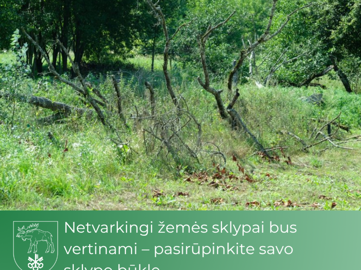 Netvarkingi žemės sklypai bus vertinami – pasirūpinkite savo sklypo būkle