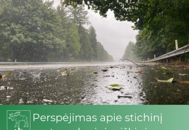 Perspėjimas apie stichinį meteorologinį reiškinį – labai smarkią audrą
