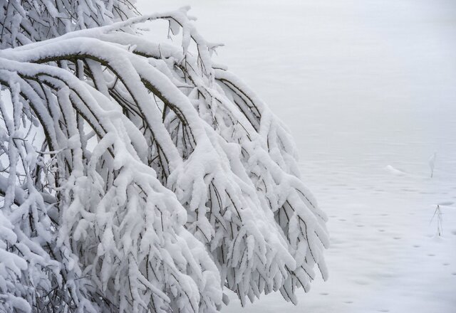 PERSPĖJIMAS APIE STICHINĮ METEOROLOGINĮ REIŠKINĮ – ŽIEMOS REIŠKINIŲ KOMPLEKSĄ