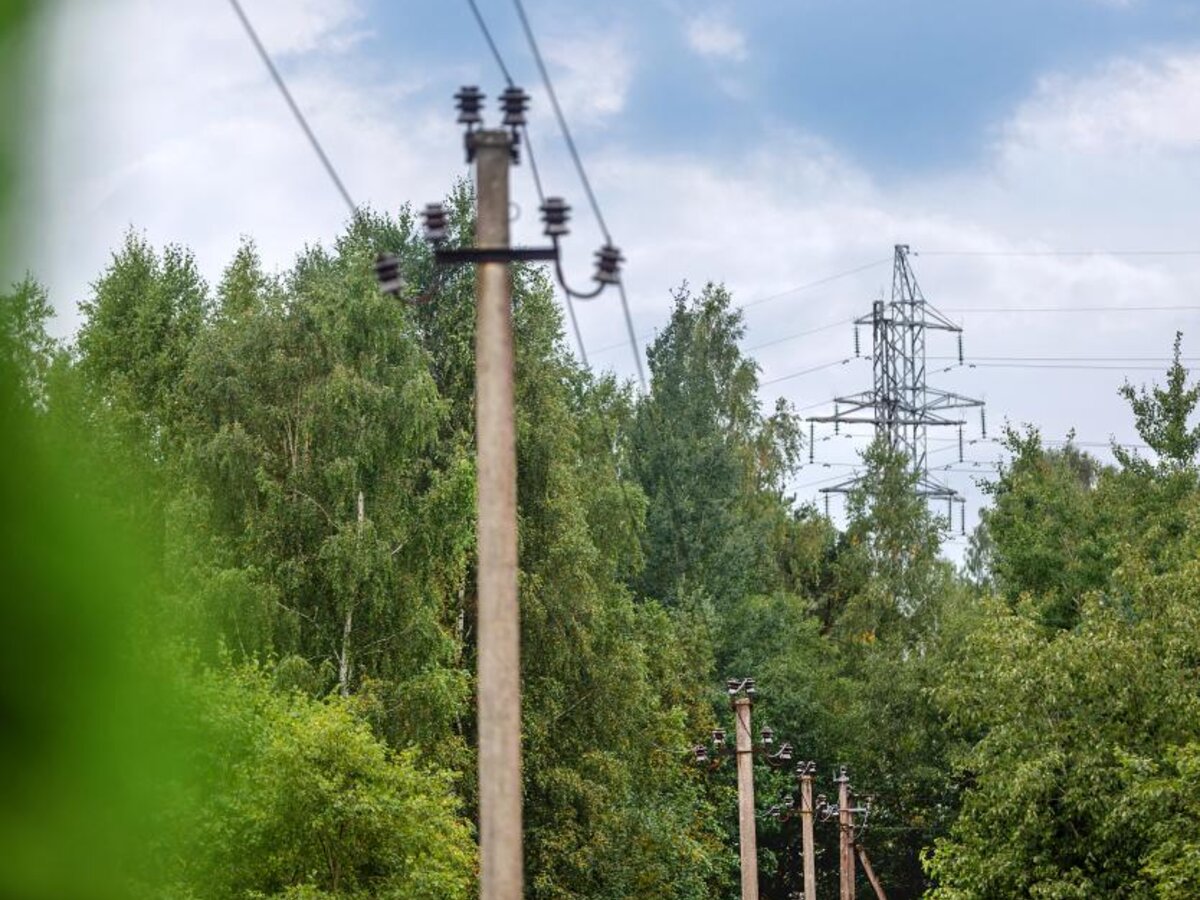 Tikslinamos aukštos įtampos elektros perdavimo linijų apsaugos zonos Lazdijų rajone