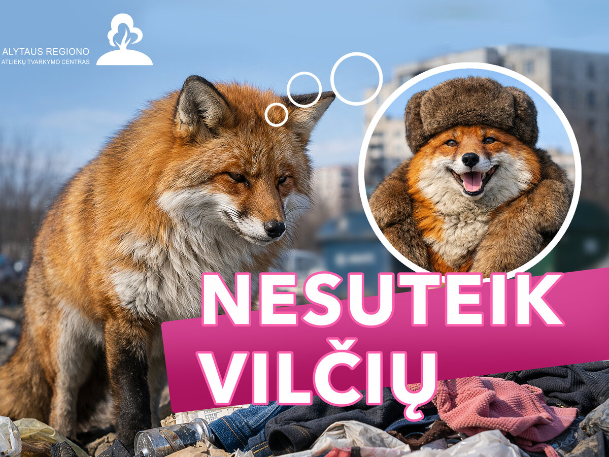Svarbu suprasti: konteineryje, o ne šalia jo