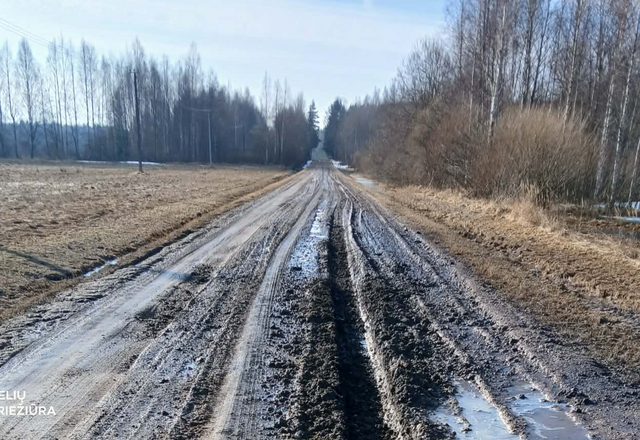 Polaidžio laikotarpiu įvedami tiksliniai krovininio transporto ribojimai (kelių sąrašas)