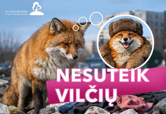 Svarbu suprasti: konteineryje, o ne šalia jo