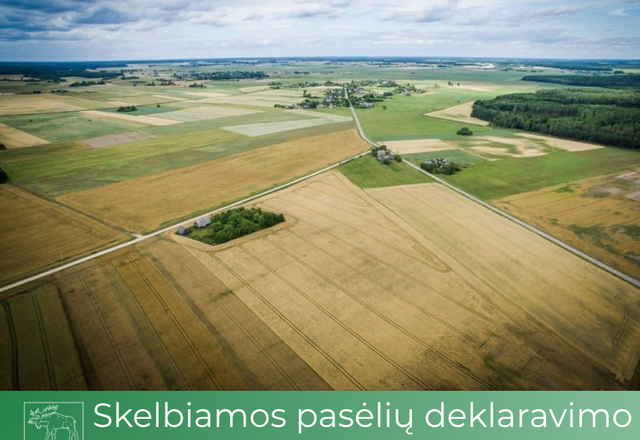 Jau žinomos pasėlių deklaravimo datos