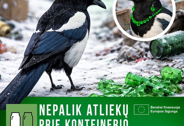 Nepalik atliekų prie konteinerio: stiklas
