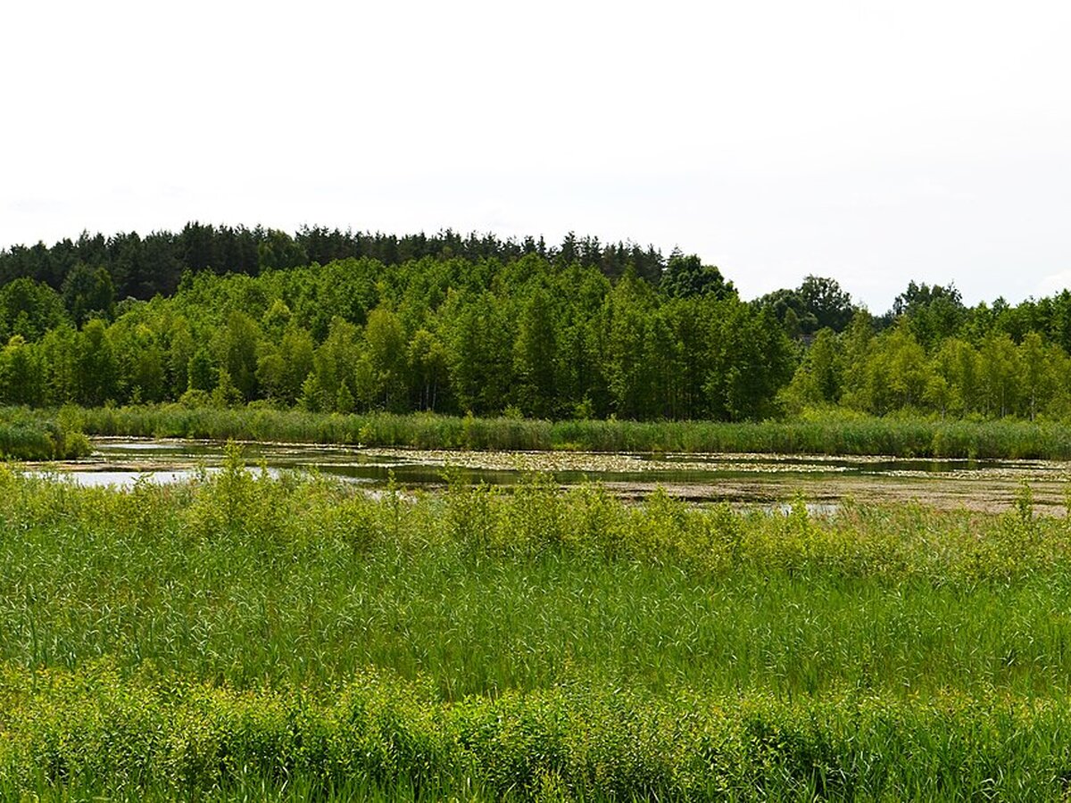 SKELBIMAS APIE ATVIRĄ AUKCIONĄ DĖL TEISĖS NAUDOTI ŽVEJYBOS
