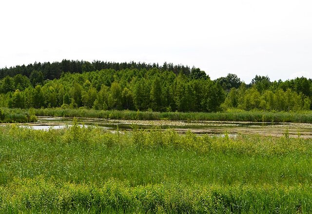 SKELBIMAS APIE ATVIRĄ AUKCIONĄ DĖL TEISĖS NAUDOTI ŽVEJYBOS