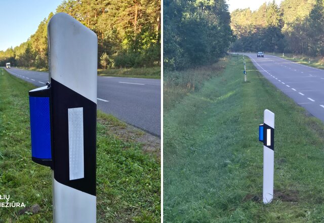 400 laukinių gyvūnų atbaidymo atšvaitų Lietuvos keliuose: bus vertinamas jų efektyvumas
