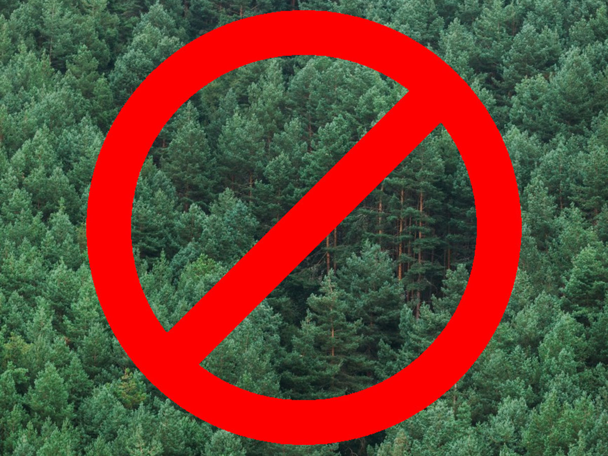 Apribojamas fizinių asmenų lankymasis miško žemėje
