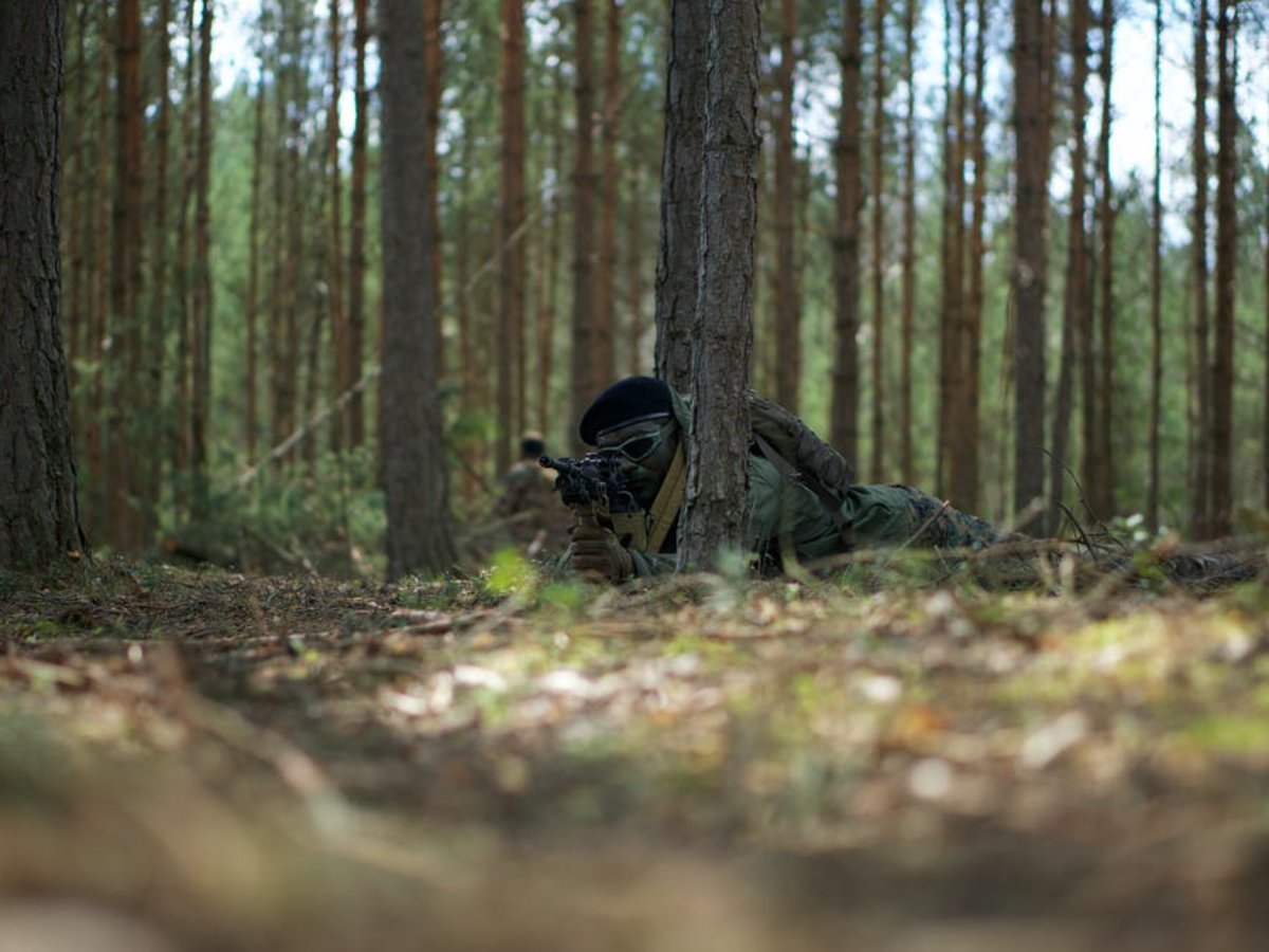 Lazdijų rajono teritorijoje vyks karinės pratybos