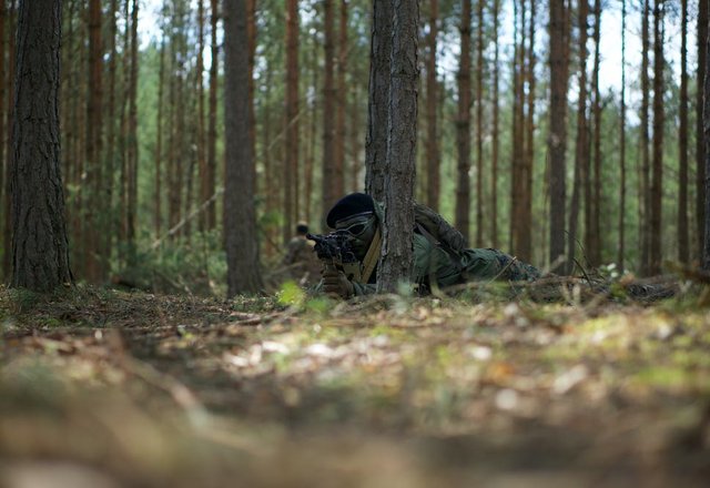 Lazdijų rajono teritorijoje vyks karinės pratybos