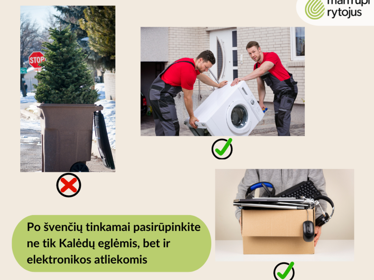  Po švenčių tinkamai pasirūpinti būtina ne tik Kalėdų eglėmis, bet ir elektronikos atliekomis