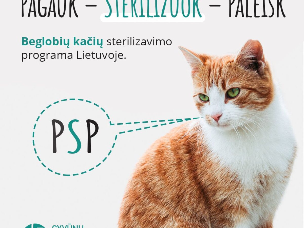 „Pagauk – sterilizuok – paleisk“  –  beglobių kačių sterilizavimo programa Lietuvoje