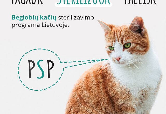 „Pagauk – sterilizuok – paleisk“  –  beglobių kačių sterilizavimo programa Lietuvoje