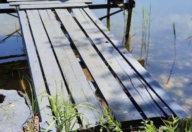            Dėl statinių, kurių savininkai nežinomi, pripažinimo bešeimininkiais