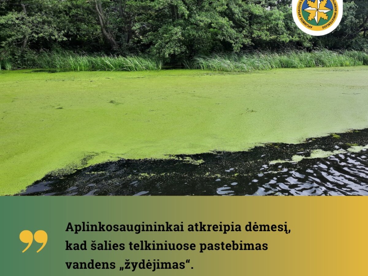 Aplinkosaugininkai: karšti orai gali paskatinti vasarinį vandens „žydėjimą“  