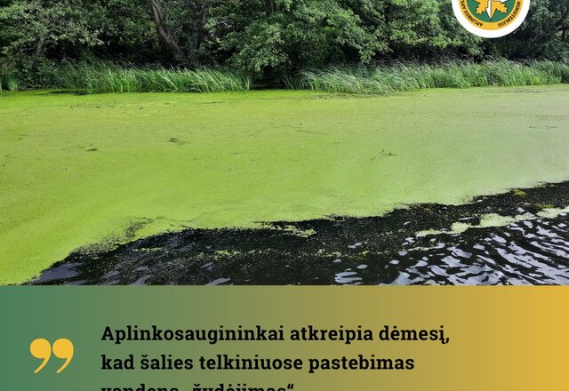 Aplinkosaugininkai: karšti orai gali paskatinti vasarinį vandens „žydėjimą“  