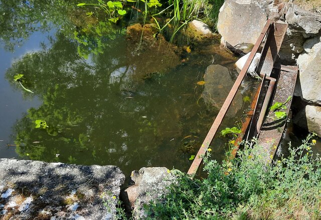 Dėl statinio, kurio savininkai nežinomi, pripažinimo bešeimininkiu
