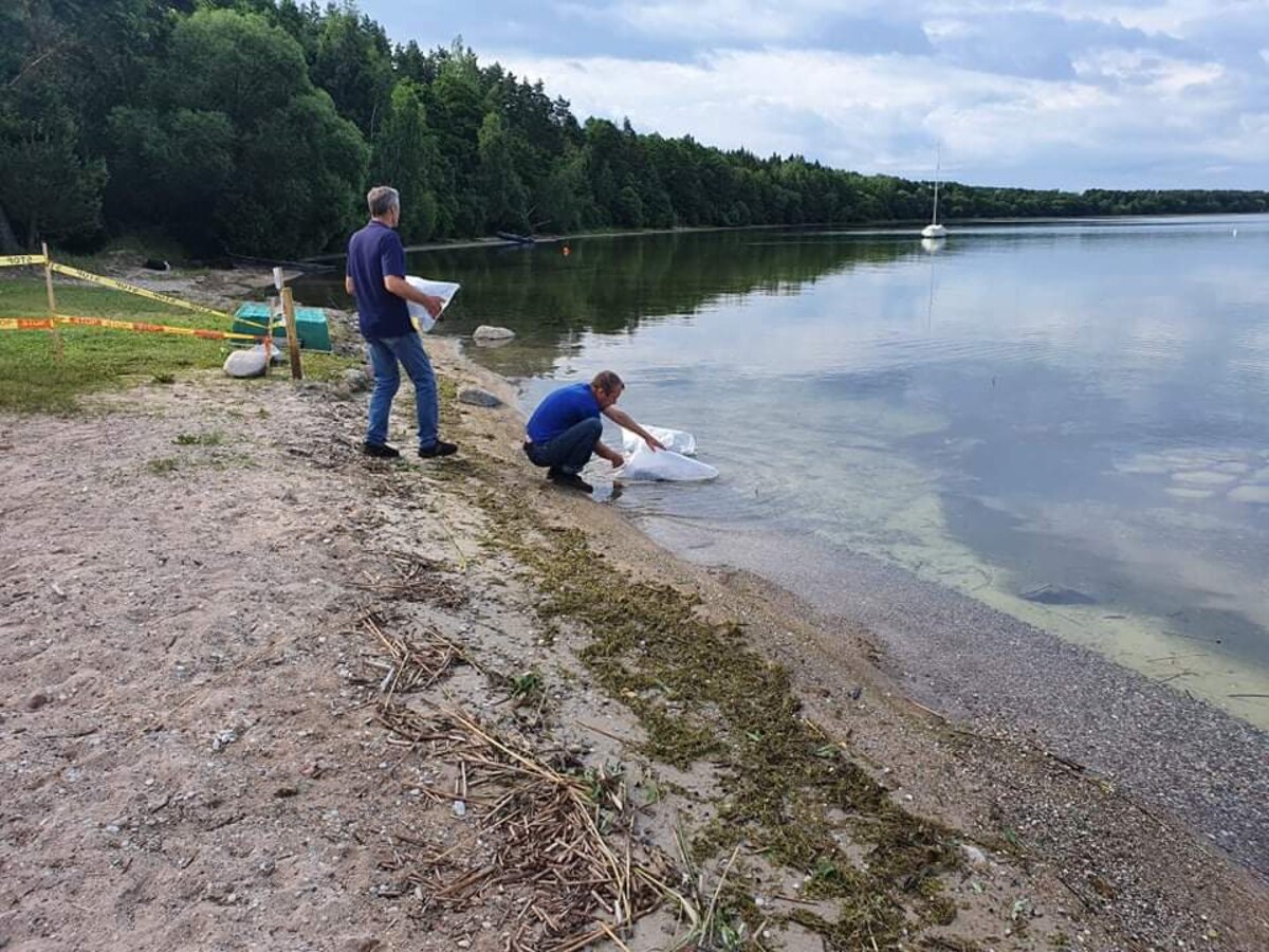 Rajono ežerų vanduo yra švarus ir saugus maudytis
