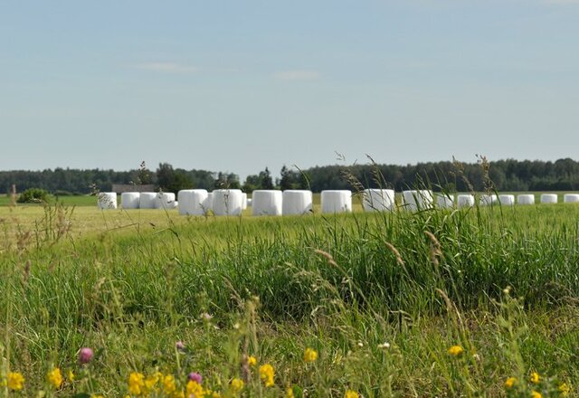 Ūkininkus kviečiame teikti prašymus dėl patirtų nuostolių ir išlaidų dalinio kompensavimo