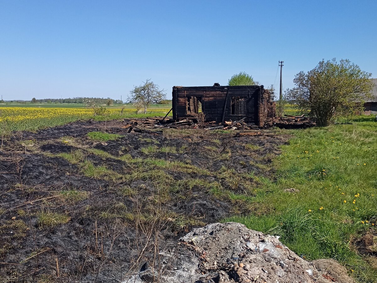 Už žolės deginimą gresia ne tik baudos, bet bus vertinama ir aplinkai padaryta žala