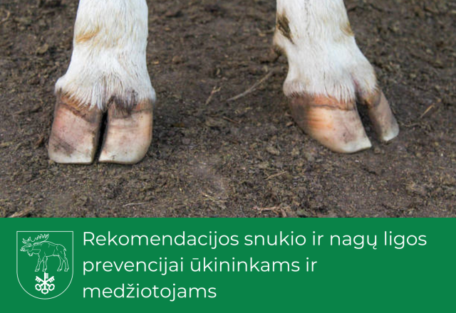 Rekomendacijos snukio ir nagų ligos prevencijai ūkininkams ir medžiotojams
