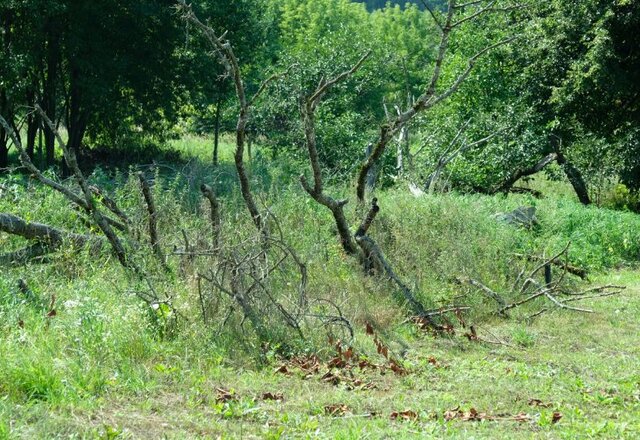 Sudarytas 2025 metų nenaudojamų, apleistų nuosavybės teise valdomų kitos paskirties žemės sklypų...
