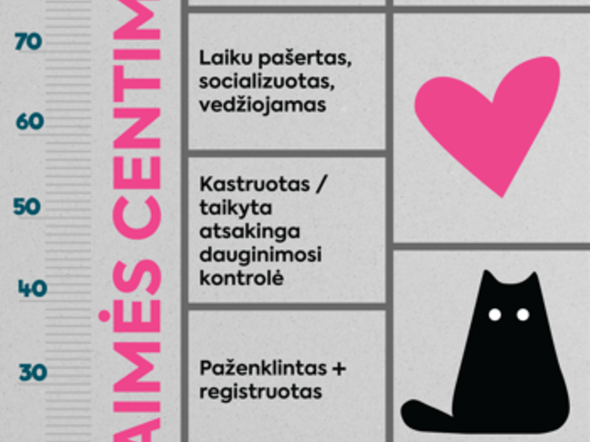 „100 laimės centimetrų“: kaip išmatuoti augintinio laimę?