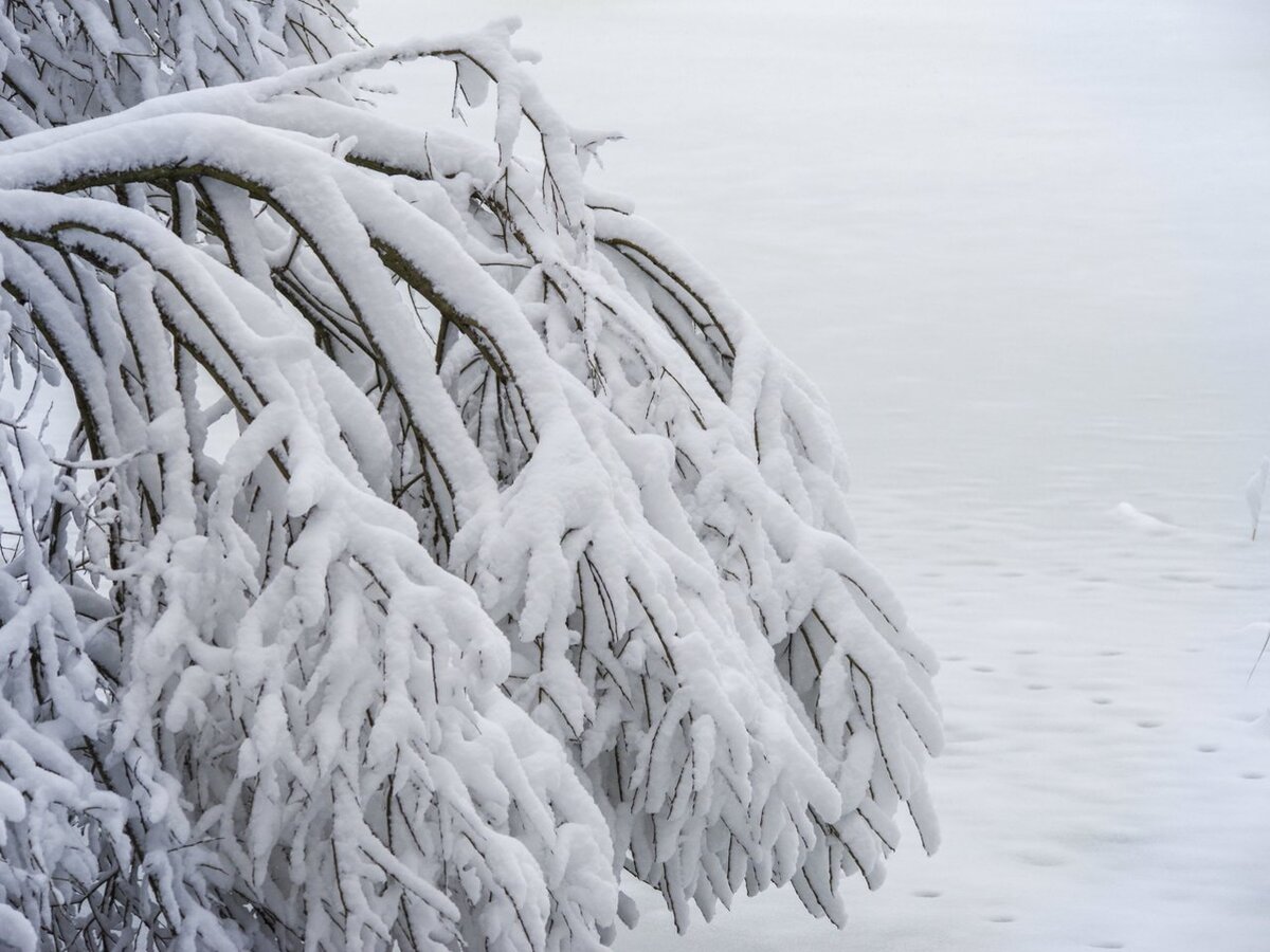 PERSPĖJIMAS APIE STICHINĮ METEOROLOGINĮ REIŠKINĮ – ŽIEMOS REIŠKINIŲ KOMPLEKSĄ