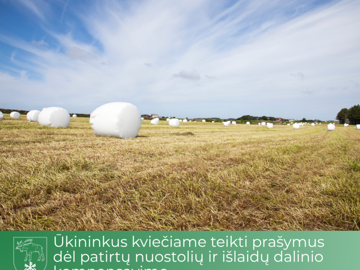 Ūkininkus kviečiame teikti prašymus dėl patirtų nuostolių ir išlaidų dalinio kompensavimo