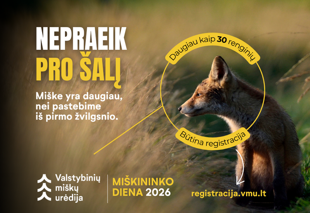Valstybinių miškų urėdija kviečia Lietuvos gyventojus į Miškininko dienų renginius – visoje...
